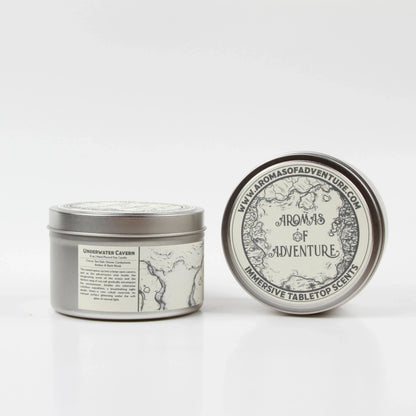 Citrus, Sea Salt, Ozone, Cardamom, Amber and Dark Must 